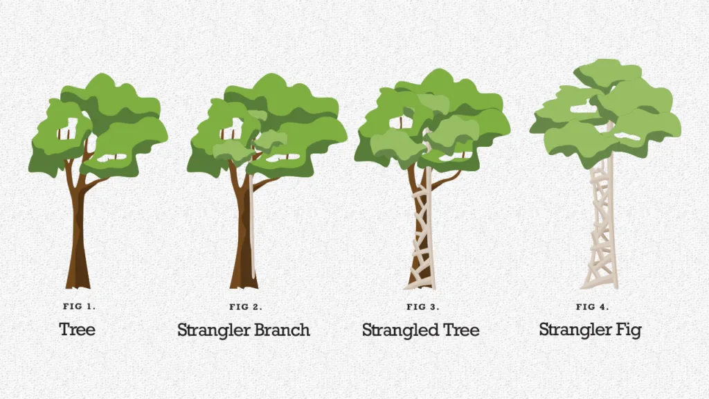 Modernizing Monoliths with the Strangler Pattern thumbnail